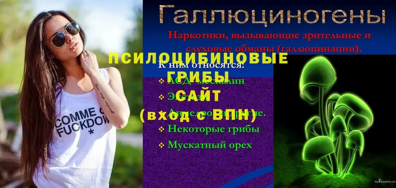 Псилоцибиновые грибы Cubensis  дарк нет формула  Яровое 